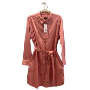 The Limited Pink Shirt Dress Size M